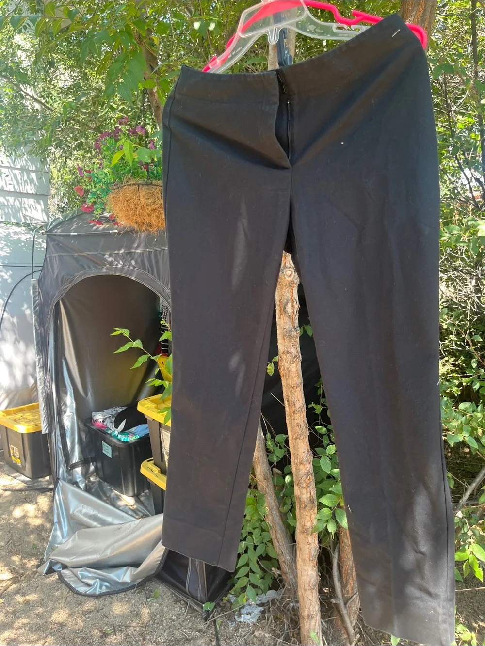 Chico's Black Ankle-Length Cropped Pants